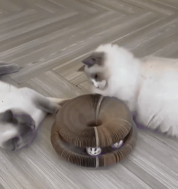 Rascador para Gatos